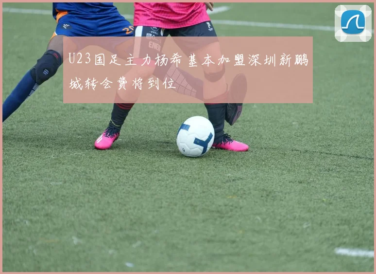 U23国足主力杨希基本加盟深圳新鹏城转会费将到位