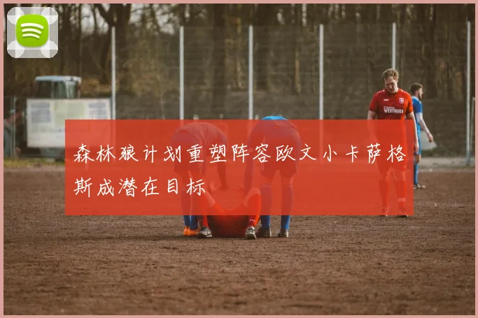 森林狼计划重塑阵容欧文小卡萨格斯成潜在目标